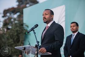 Dowladda Itoobiya oo iska fogeysay dagaalkii dooloow