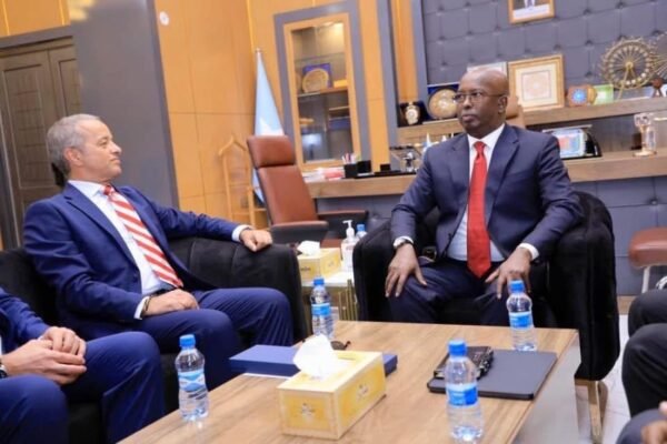 Somalia: Mogadishu mayor meets Italian ambassador