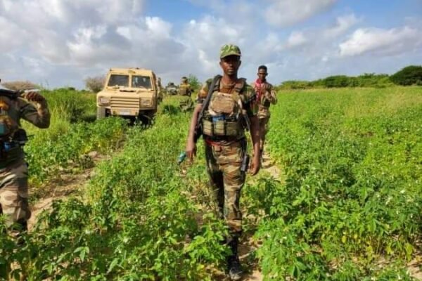 Ciidamada dowlada oo afar dagaalyahan oo Al-Shabab ah dilay