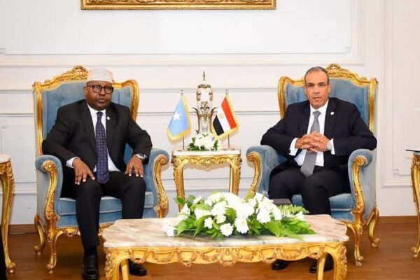 The Somali Foreign Minister seeks bilateral cooperation with his Egyptian counterpart in Cairo