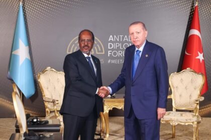 Madaxweyne Xasan Sheekh oo dhigiisa Turkiga kala hadlay amniga iyo iskaashiga labada dal