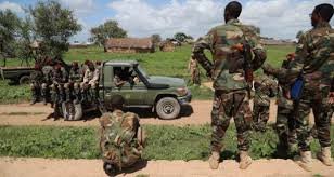 Ciidanka xoogga oo hawlgal ka dhacay jubadda hoose ku dilay xubno ka tirsan al-Shabaab