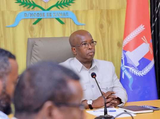 Guddoomiyaha Gobolka Banaadir Oo Magacaabay Guddiga Gurmadka Degdegga ah ee Roobabka Muqdisho